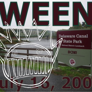 Transdermal Celebration