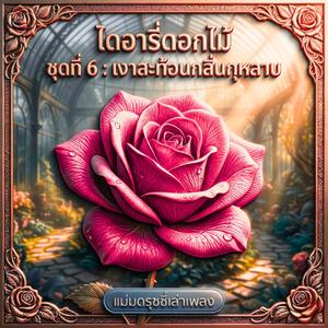 กลีบหนึ่งที่เคยงดงาม