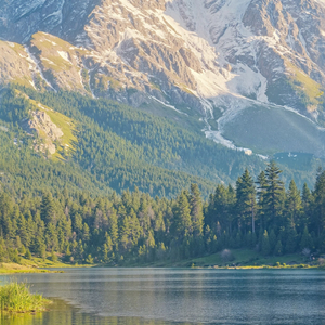雨连绵，等你现