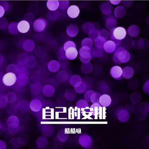自己的安排