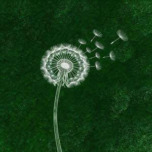 穿过春风拥抱你（深情版）