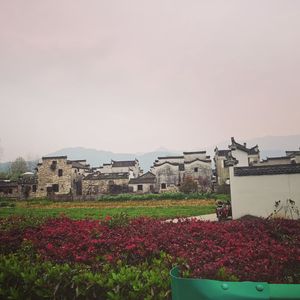 剪西风