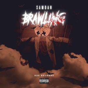 Brawling (feat. SamDan)