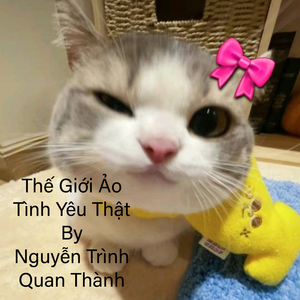 Thế Giới Ảo Tình Yêu Thật