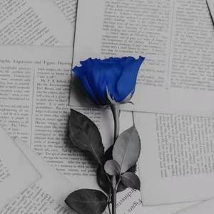 不在是我的 谢明轩