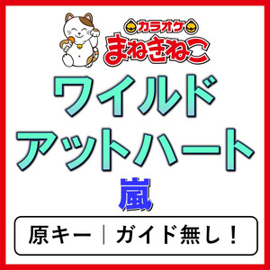 ワイルド アット ハート（カラオケ）[嵐]