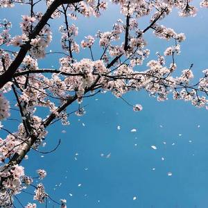 时间煮雨（钢琴）