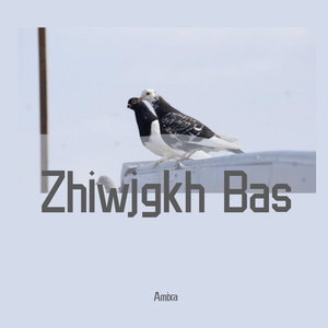 Zhiwjgkh Bas