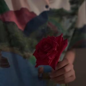 不为谁而作的歌