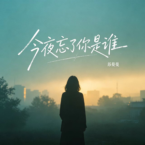 今夜忘了你是谁