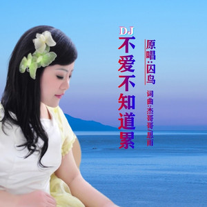 不爱不知道累DJ