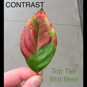 Mom's Homemade Cookies