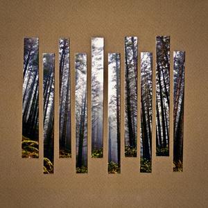 The Days That Follow (a lullaby)