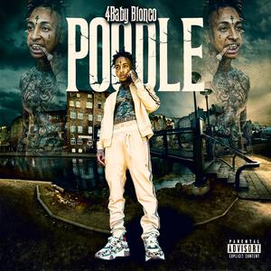 Poodle