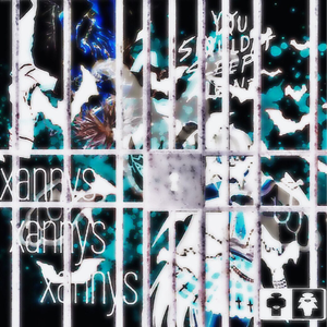 xannys