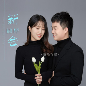 新鹊桥会 (DJheap九天版)