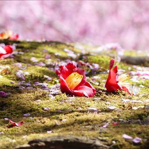 stop waiting, she's not coming back