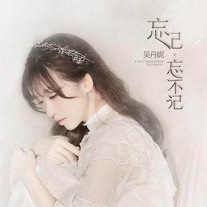 忘记忘不记 (伴奏)