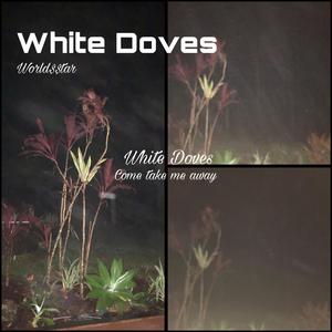 White Doves