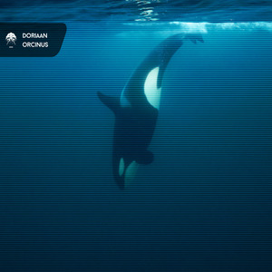 Orcinus (Original Mix)