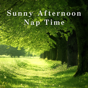 Daylight's Quiet Melody