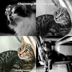 Kittens (Feelings)
