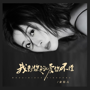 我对你的爱你不懂