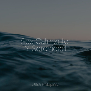 Terapia Consciente