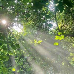 追逐星光的过程总很会很痛苦的