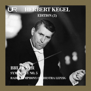 Symphony No. 5 in B-Flat Major, WAB 105 "Phantastische":IV. Finale. Adagio - Allegro moderato (Live)