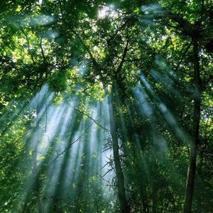 三十二岁的困局