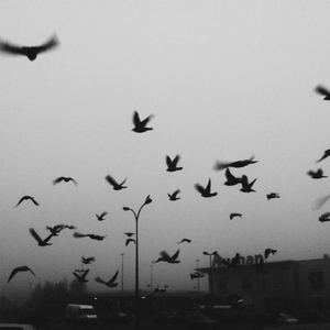 bir şeyle mukayyetiz