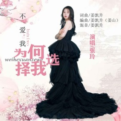 不爱我为何选择我 (DJ凯升版)