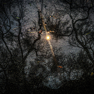 告五人-唯一（赵诚康 remix）