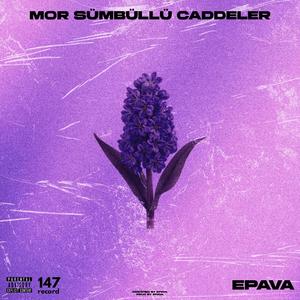 MOR SÜMBÜLLÜ CADDELER
