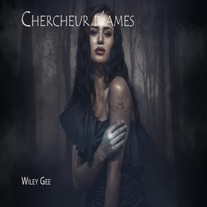 Chercheur d'ames (Soul Seeker)