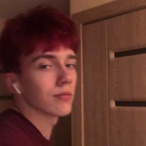 卑职身为八十禁军教头（热搜版）