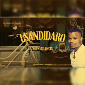 Usandidaro