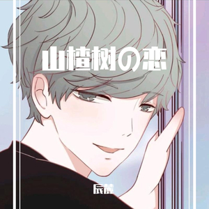山楂树之恋