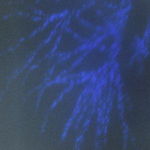 Blood, Snow, and Rain