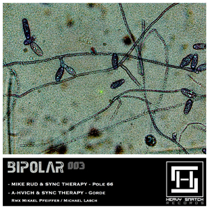 Pole 66 (Original Mix)