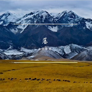 饺子_41490286034446343_1756731186769