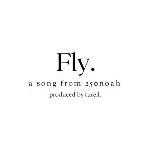 Fly.