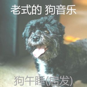 狗(情怀)