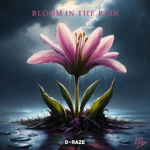 Bloom In The Rain