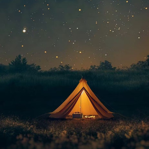 命中注定我爱你