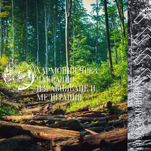 Божествена Хармония