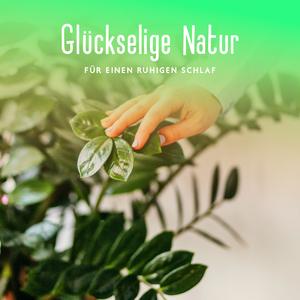 Im Wald eingeschlafen
