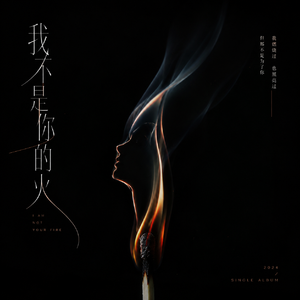 我不是你的火(DJ Mix)