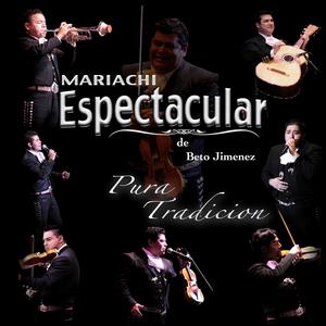 Popurri el Rey: El Rey / Te Solte la Rienda / Sin Sangre en las Venas / Que Se Me Acabe la Vida / Serenata Huasteca